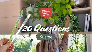 20 Questions on Sustee Watering Device with Founder of Plants in a Box