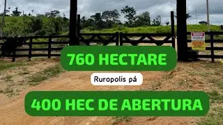 760 hectare preço de desapego 😳 a mais barata da região de Ruropolis pá! Confiram o vídeo ❓❓