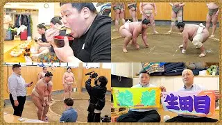 【相撲飯 × 親方ちゃんねる】唐揚げの沼・石狩鍋・モツ煮・目玉焼き ／ 相撲グッズ紹介 ／ 朝稽古 🍚『ちゃんこ番：出沼・若雅・駿太・梅山』