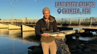 LAND BASED SALMON | Swansea, NSW