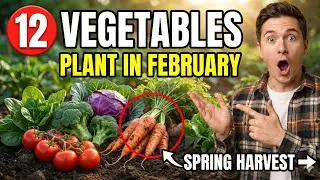 12 Vegetables You Must Plant in February for a Massive Spring Harvest (Complete Planting Guide)