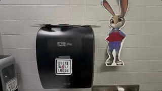Pro Link Elite Automatic Towel Dispenser At The Great Wolf Lodge Grand Mound Washington 