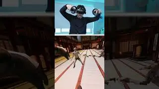 Crane kick in VR😳