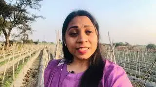 कुत्ता का बच्चा को दूध पिलाने आये #viral video#newvlogs 
