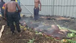Pig mumu , Wasuma village , Southern Highlands,  PNG