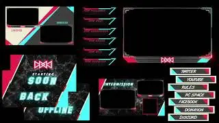 Animated twitch overlay ! Facecam for twitch & Facebook stream | Animated Stream overlay