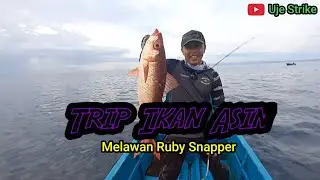 Trip Ikan Asin Demi Melawan Kerasnya Ruby Snapper