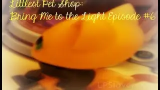 Littlest Pet Shop: Bring Me to the Light [Episode #6 'A Trip Down Memory Lane']