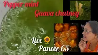 vibewithvije  is live#pepper mint#guavachutney#paneer65
