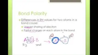 Polarity - Part 1