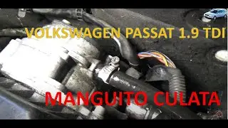 Solucionando pérdidas de refrigerante difícil en mi VOLSWAGEN PASSAT. Maguito de la culata.