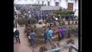 VIVAI COOPERATIVI RAUSCEDO