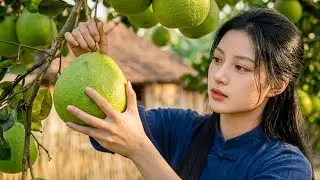 Chinese Village Girl Harvesting Pomelos 🍊 | Peaceful Cooking & Healing Rural Life
