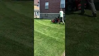 #shorts #bradleymowers #mowers #landscaping #36 Bradley walk behind