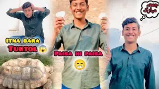 A BIG TURTLE 😱||SHIKAR PAR GAY|| KITE FLY KI|| HAPPY NEW YEAR 😚|| JUMMAH MUBARAK 😘
