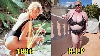 Crocodile Dundee (1986 - 1988) Cast: Then and Now 2025 | You'd Never Recognize Today