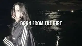 HAARPER - BORN FROM THE DIRT
