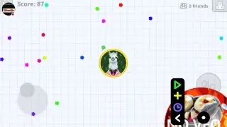 My Agar.io Stream