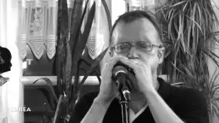 Whiskey Diving Ducks -  Concert - Irish Music School Elmstein, Germany 2013