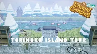 Cozy Winter Wilderness Island Tour🌲 | Animal Crossing New Horizons 🌱