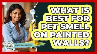 What Is Best For Pet Smell On Painted Walls?