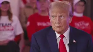 Former President Trump not immune from prosecution in 2020 election case, appeals court says