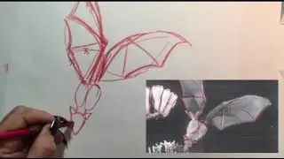 Lesser Long-nosed Bat