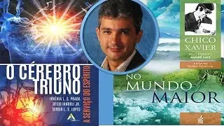 O Cérebro Triúno - Décio Iandoli Jr.