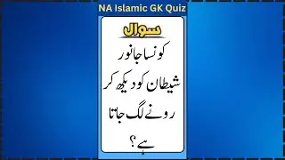 Urdu Quiz - Islamic Questions and Answers Urdu - Islamic Questions and Answers - Islamic GK