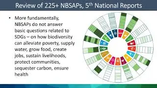 Spatial Data for better decision making - 6NR Webinar Series