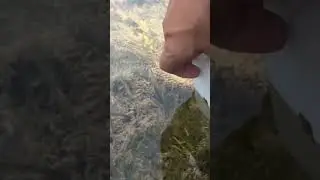 🌊📱Capturing Underwater Footage on iPhone X 📹🐠