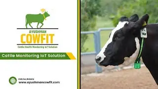 Introduction to Ayushman Cowfit #cattlehealth #CattleMonitoring#HeatDetection#DairyFarming