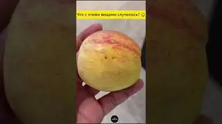 Что с этими вещами случилось? 😲 #факты