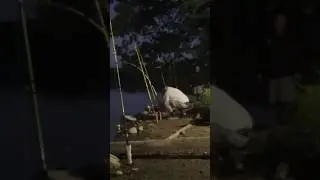 🔴Big takedown from a recent livestream! #fishing #catfishing #bassfishing #fishingtips #livestream