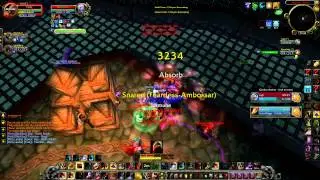 kittycleave arena