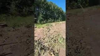 deforestation!  #shortsfeed #jdm #shortsyoutube #jdms #car #vanlife #trending #shortsviral #ecology