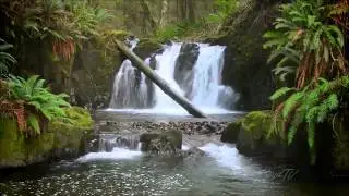 Constance Demby - Ambrosial Waves - Healing Waters