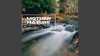 Nature Sounds For Relaxation