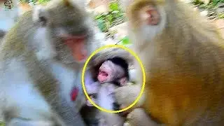 Break heart to see newborn Janet cry too much call mom Janet help | Poor Jane can't help new baby|