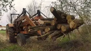 FIREWOOD SEASON 2020 - FIAT-OM 850 Super - Husqvarna 450 x-torq