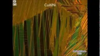 CuAlNi thermoelastic martensite
