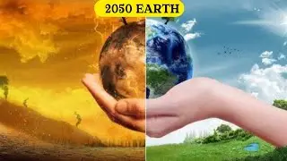 How Human Destroying Nature | #shorts