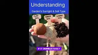 Understanding Your Garden&rsquo;s Sunlight & Soil Type | Grow Smarter, Not Harder #pottingsoil #soilwater