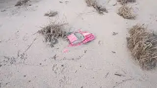 Am Elbestrand Sächsische Schweiz. Was liegt da? 22:18 min