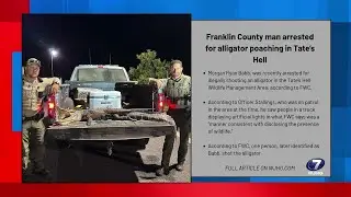 Franklin County man arrested for alligator poaching in Tate&rsquo;s Hell
