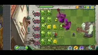 shrinking violet / zvp