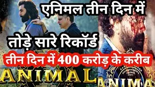 Animal box-office collection day 3 | Animal 4th day box office collection |