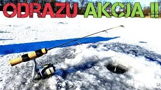 Nie Musiałem Długo Szukać !! Brały Fenomenalnie  !! Błystka !! Wędkarstwo Podlodowe !! Ryby !!