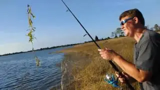 Weeki Wachee Preserves
