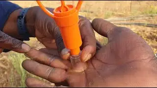 AFA 01 Extracteur de venin